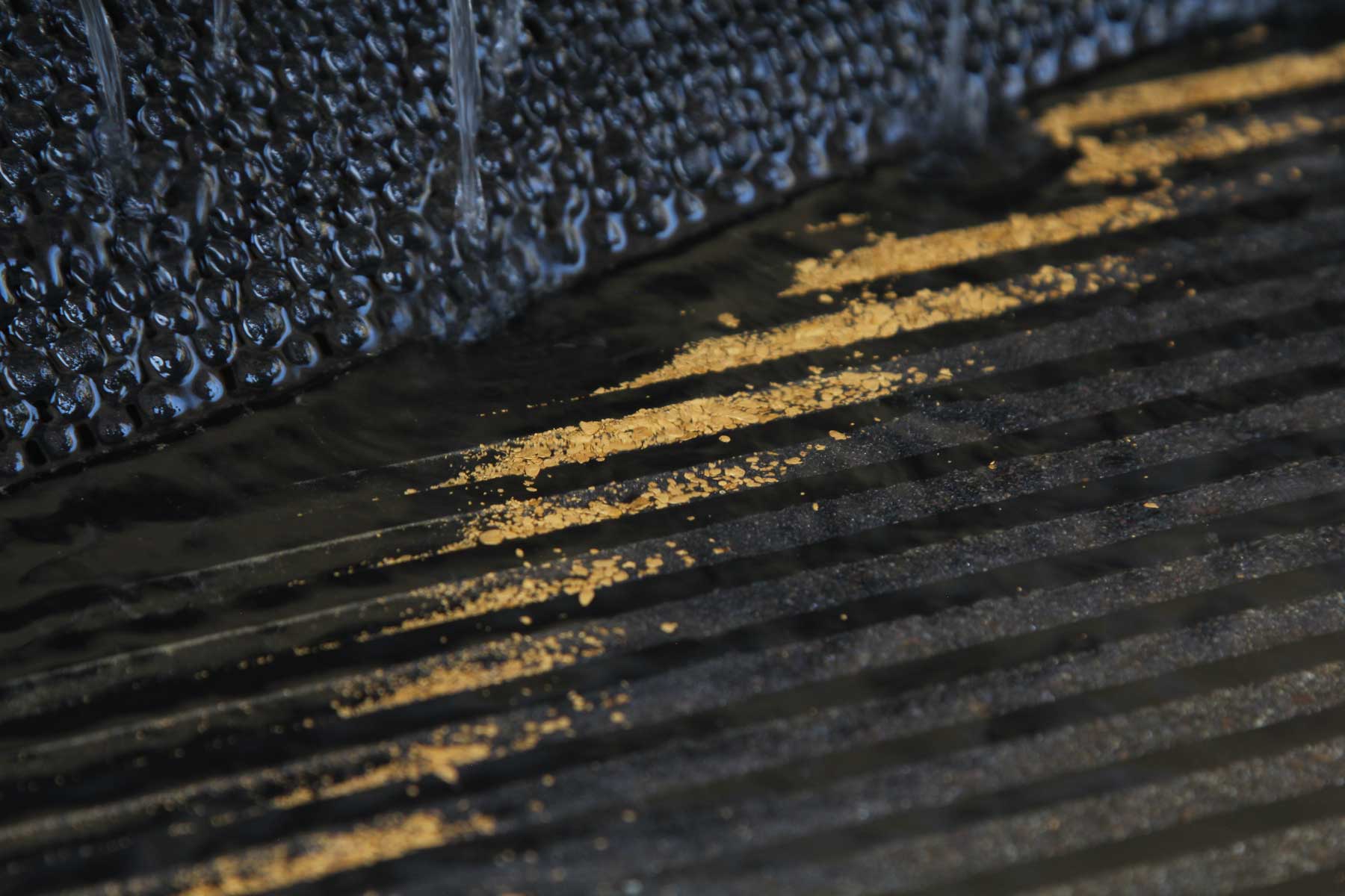 Fine gold recovered from wash plant