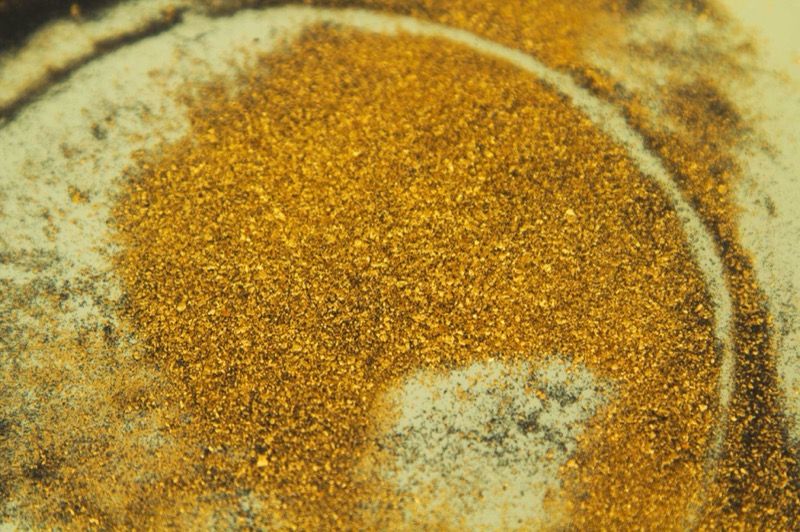 Gold flakes recovered from placer mining
